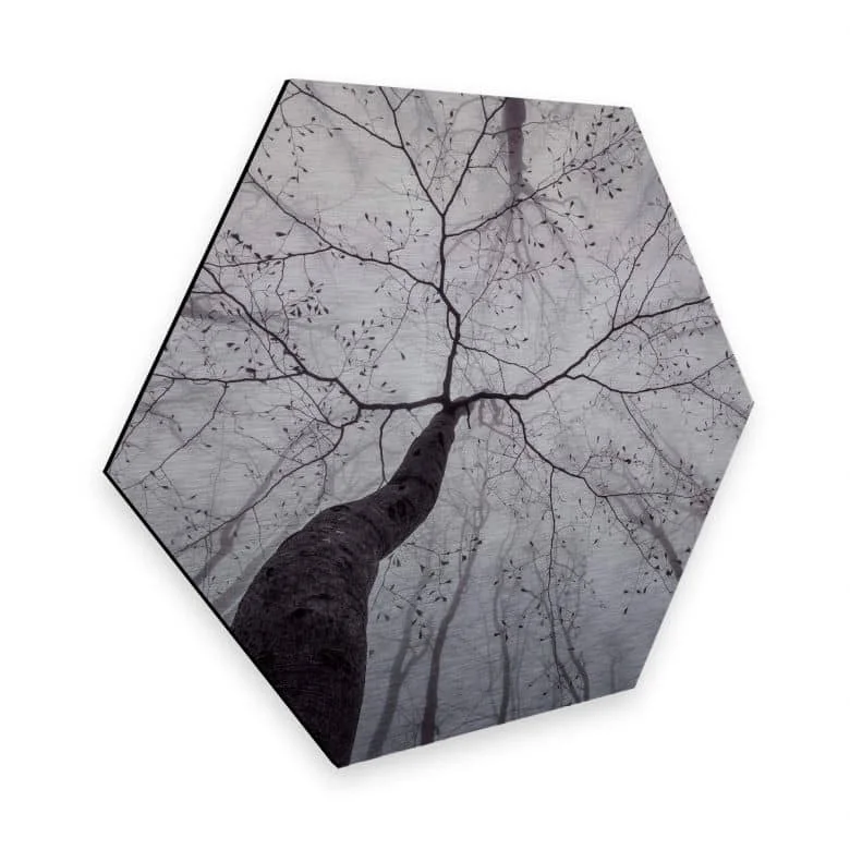 wall-art-1447061