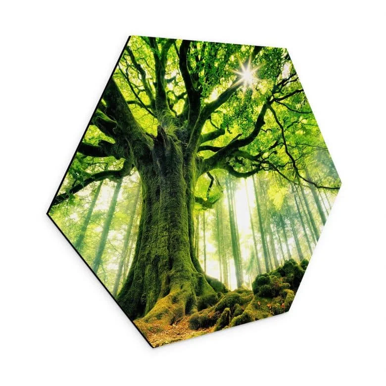 wall-art-1447209