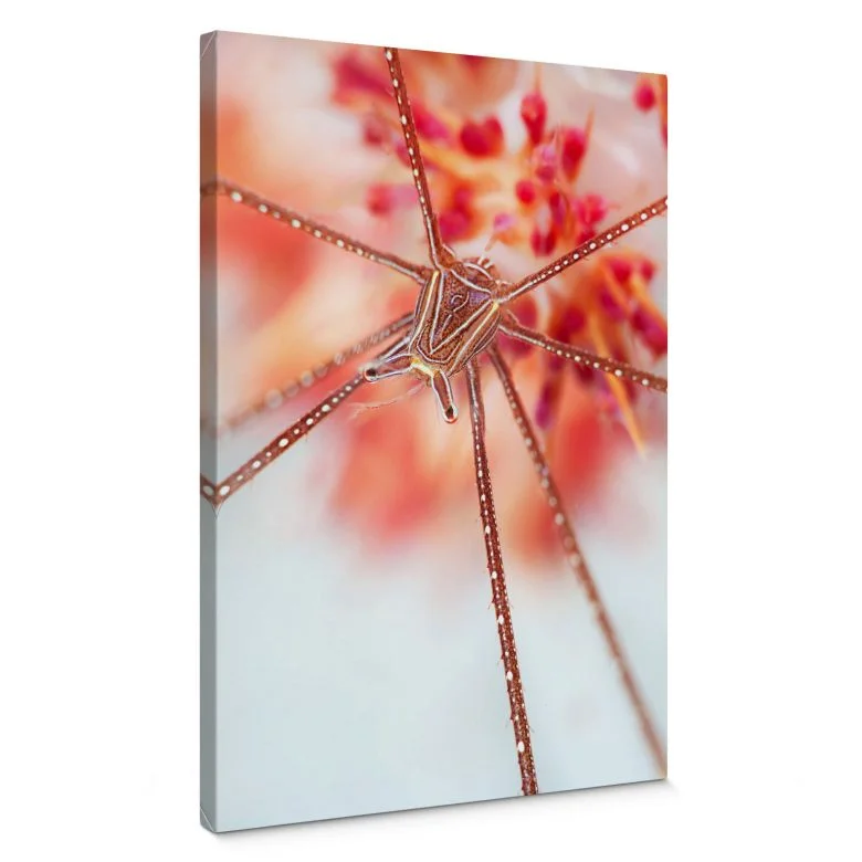 wall-art-1447596