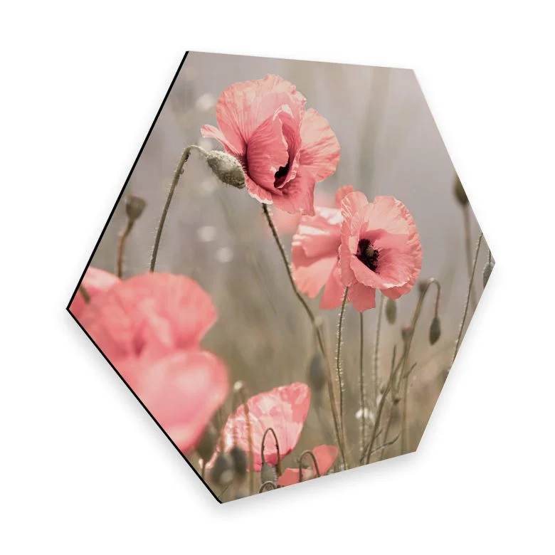 wall-art-1447742
