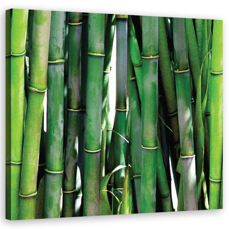 wall-art-1447839