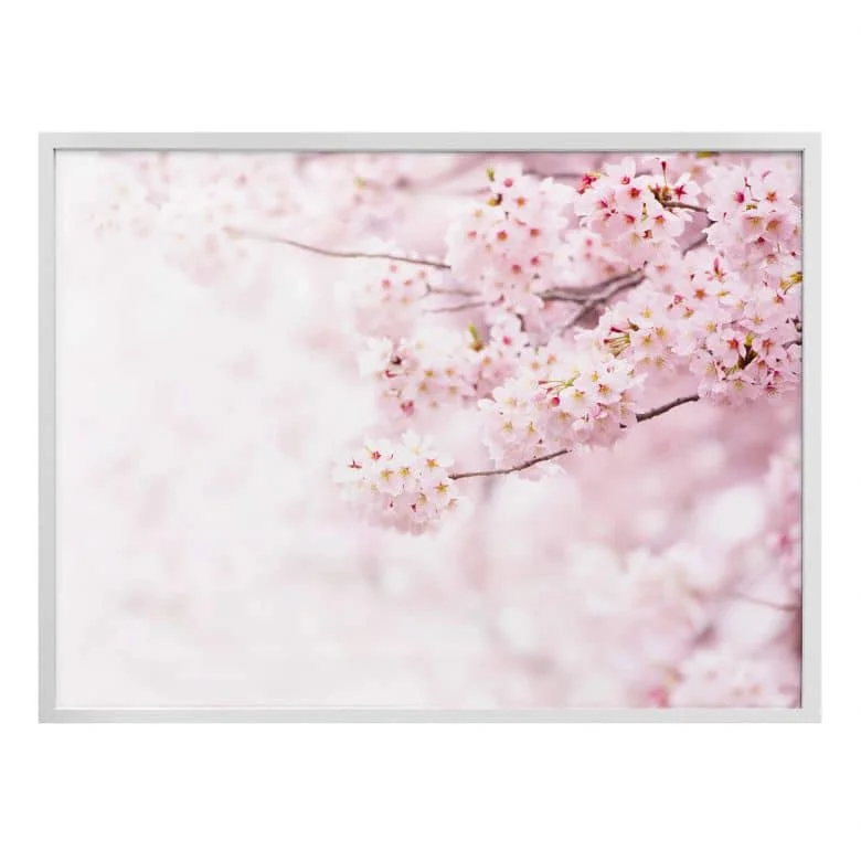wall-art-1448149