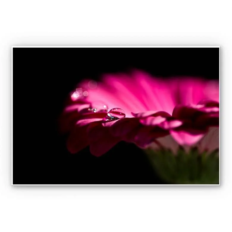 wall-art-1448570