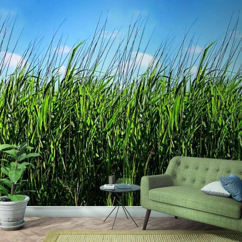 wall-art-1449176