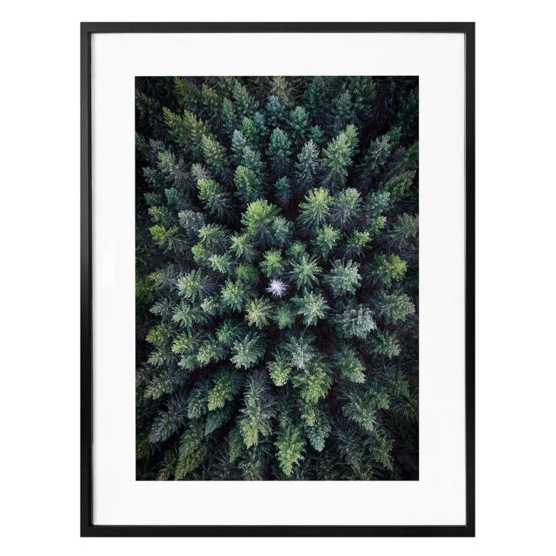 wall-art-1449930
