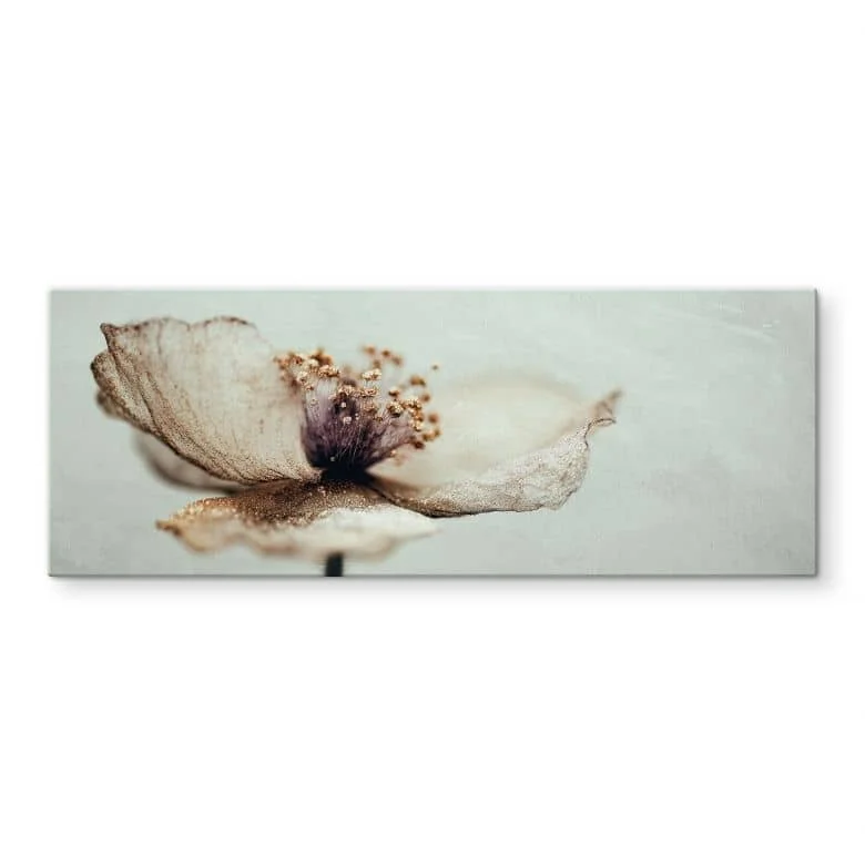 wall-art-1451118