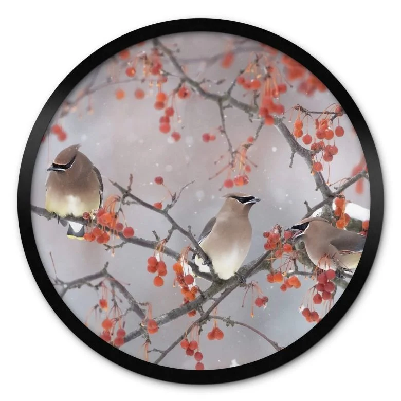 wall-art-1452072
