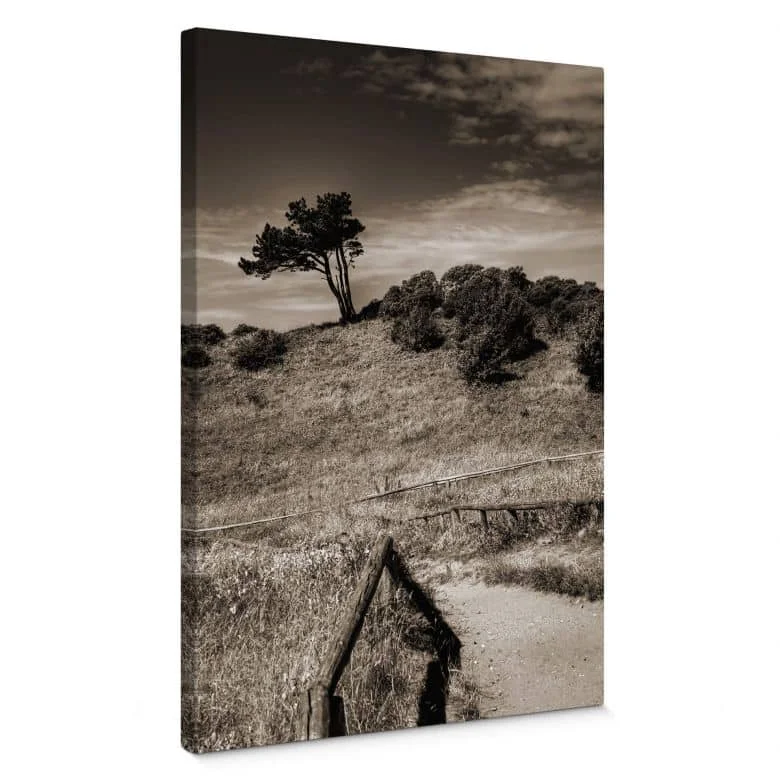 wall-art-1452534