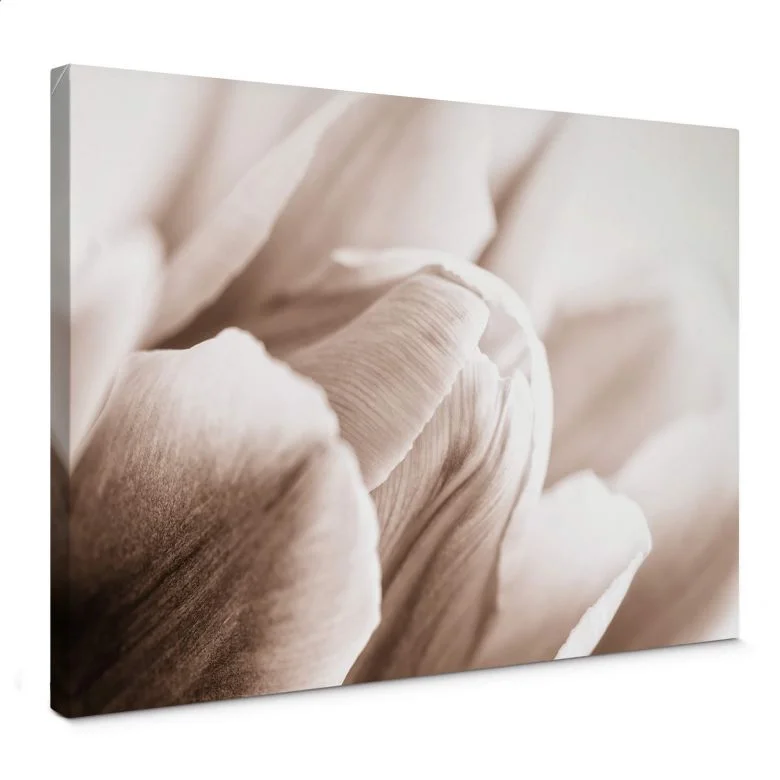 wall-art-1453857