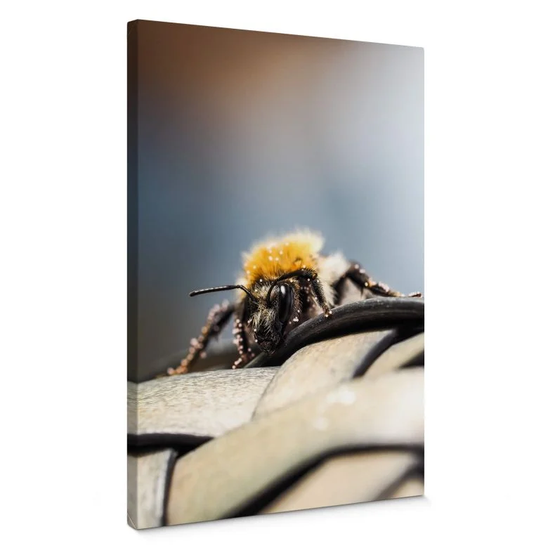 wall-art-1454507