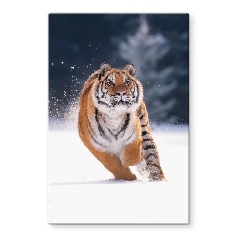 wall-art-1454921