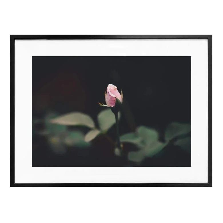 wall-art-1455598